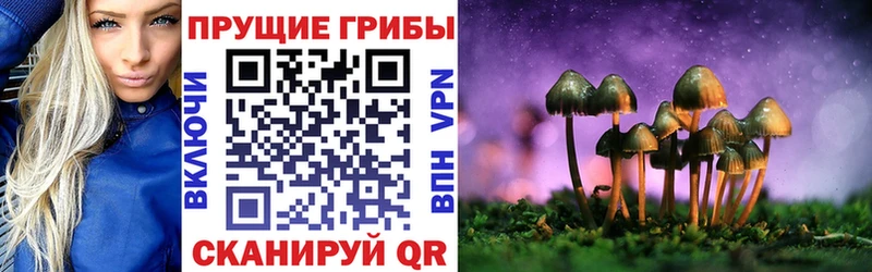 Псилоцибиновые грибы Cubensis  Задонск 